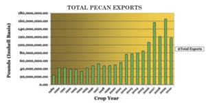 graph showing the total pecan exports by the pounds on an inshell basis per crop year 