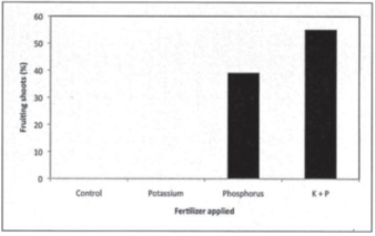 graph showing the percent of fruiting shoots based on method of fertilizer application