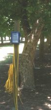 A watermark sensor datalogger station sits next to a pecan tree in a row at the orchard. The station is attached to a tall wooden pole and has yellow wires running out of a blue box.