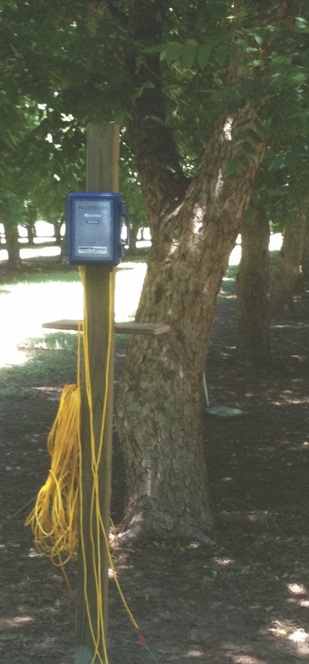 A watermark sensor datalogger station sits next to a pecan tree in a row at the orchard. The station is attached to a tall wooden pole and has yellow wires running out of a blue box.