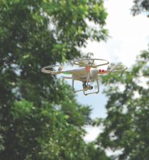 A drone flies in between trees. Growers can introduce ag technology like this into their pecan management plan to be more proactive.