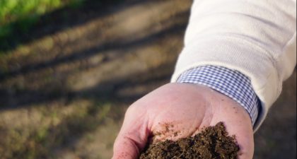 A person holds a handful of dark brown soil up to the camera, in order to show off the soil health and texture.