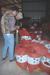 Monte Nesbitt and LeRoy Olsak look over pecans of several varieties that were in the barn and ready for sale.