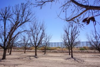 One can see the U.S.-Mexico border wall which lines parts of the Rio Bravo Orchard in Tornillo, Texas. (Photo by Blair Krebs)