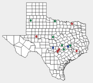 Figure 4. Map of Texas showing counties where pecan truffles (Tuber lyonii) have been located or searched-for recently. Green dots (Lamb, Wichita, Brown, Williamson, Bastrop, and Burleson Counties) indicate locations where truffles were found by us in November 2012. Five of these six sites were pecan orchards. Blue dots represent orchards that were searched at the same time but truffles were not found there. Red dots show counties from where truffles were reported by others from non-orchard sites between 1979 and 1997. Additionally, the first recorded truffle in Texas (Heimsch 1958) was found in Travis County (not marked on this map) in a planting bed.
