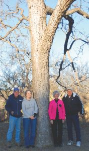 From left, Novice and Ann Kniffen, Katherine and John Kniffen are standing next to their native tree that produced the Grand Champion Native for 2011. (Photo by Monte Nesbitt)
