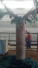 Part of the "Kids and Kows and More" program, Remus the talking pecan tree gives participating students some fun pecan facts. (Photo courtesy of Sandra Pierce)