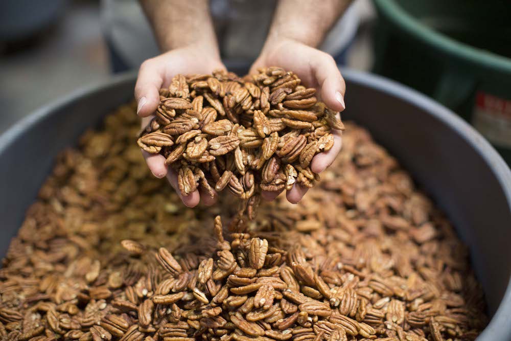 Hands cradle pecan kernels over a large bin filled with pecans. Photo used to reflect U.S. handlers' large inventories as reported in October 2020 Position Report.