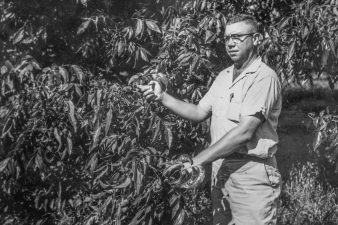 Ben Littlepage as a young man stands with his pecan trees