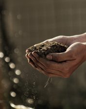 hands holding soil