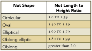 Table showing nut shape in relation to nut length to height ratio