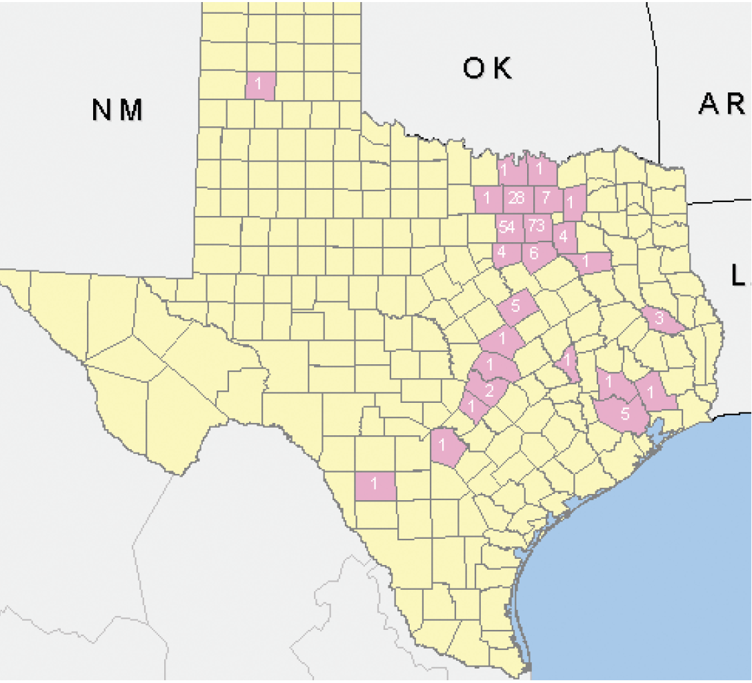a map showcasing the number of cases of the west nile virus in Texas in 2012