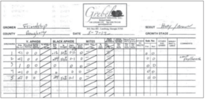 a custom scouting report from Grebel Pecan Services