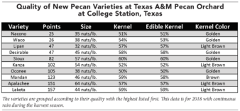 Table listing the new pecan varieties from the Texas A&M Orchard in order of their quality scores