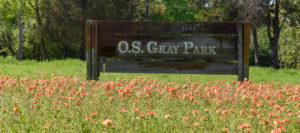 a field of Indian Paintbrushes with a wooden sign that reads O.S. Gray Park