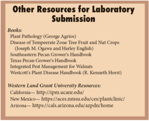 A sidebar from the magazine that shows additional resources for making laboratory submissions.