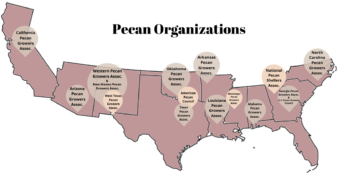Map of the pecan belt with pins where the organizations are located.