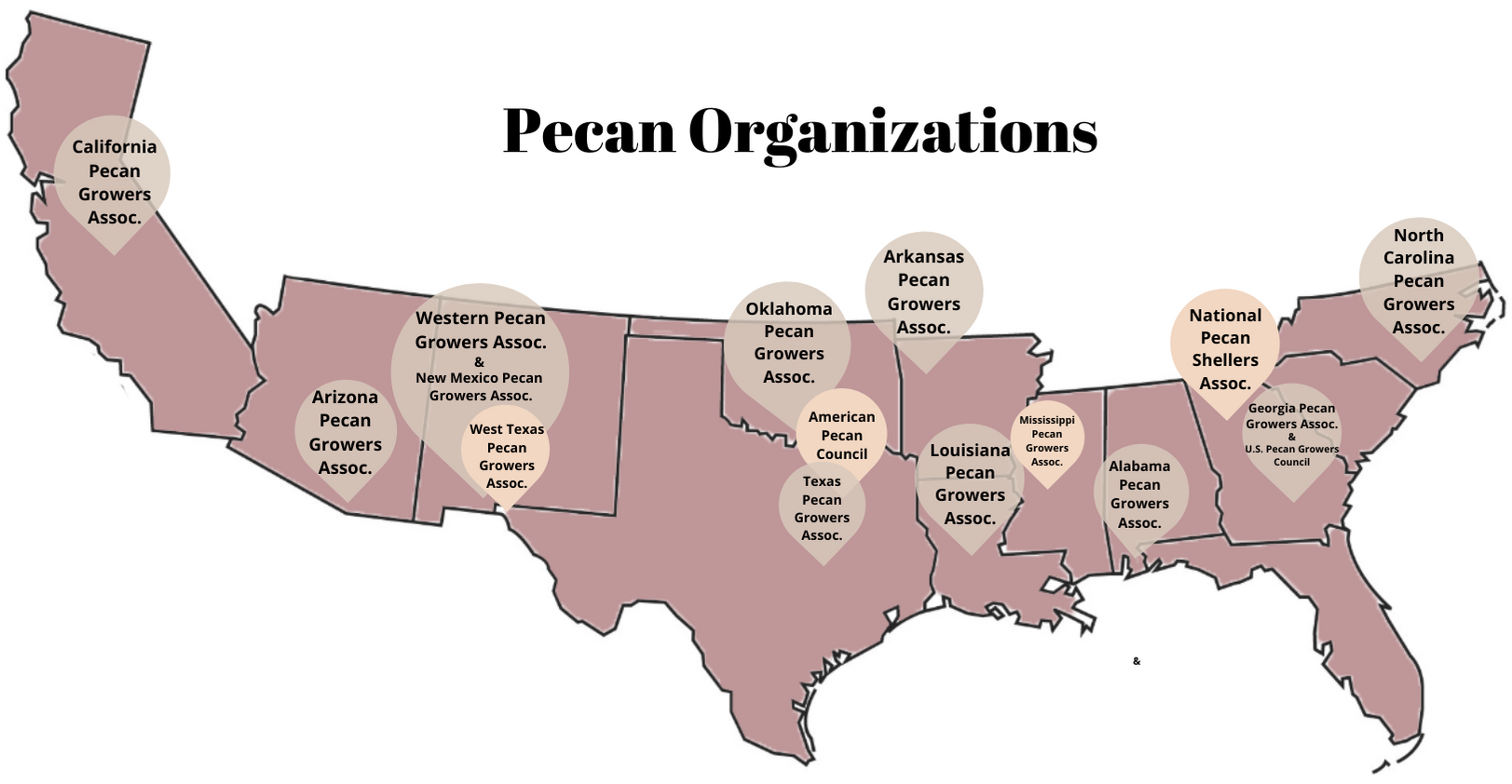 Map of the pecan belt with pins where the organizations are located.