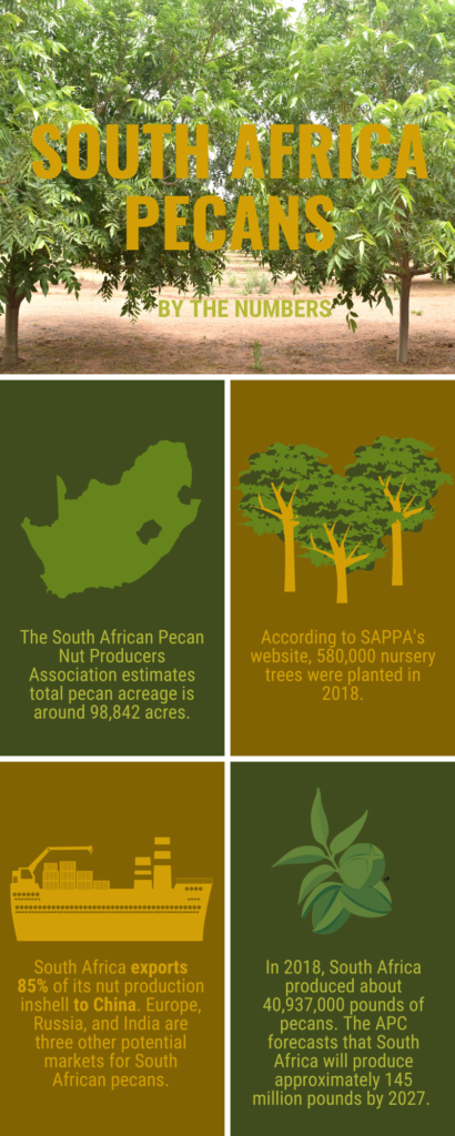 An infographic that gives a couple facts about South African pecan industry.