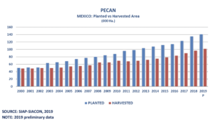 Graph showing the pecans harvested versus pecans planted in Mexico over the years.