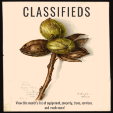 Image for the classifieds found in the magazine.