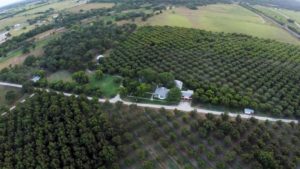Aerial view of Comal Pecan Farm in 2015