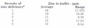 This table shows severity of zinc deficiency in one column; the second and third columns show the zinc in leaflet by parts per million by average and range, accordingly. The severity levels are on a scale of 1-5. Level 1—average zinc in leaflet was 46 ppm with a range of 11-202. Level 2—average zinc was 19 ppm with range of 10-36. Level 3—average was 17 ppm with range of 9-38. Level 4—average was 15 ppm with range of 11-22. Level 5—average was 14 ppm with range of 8-34.