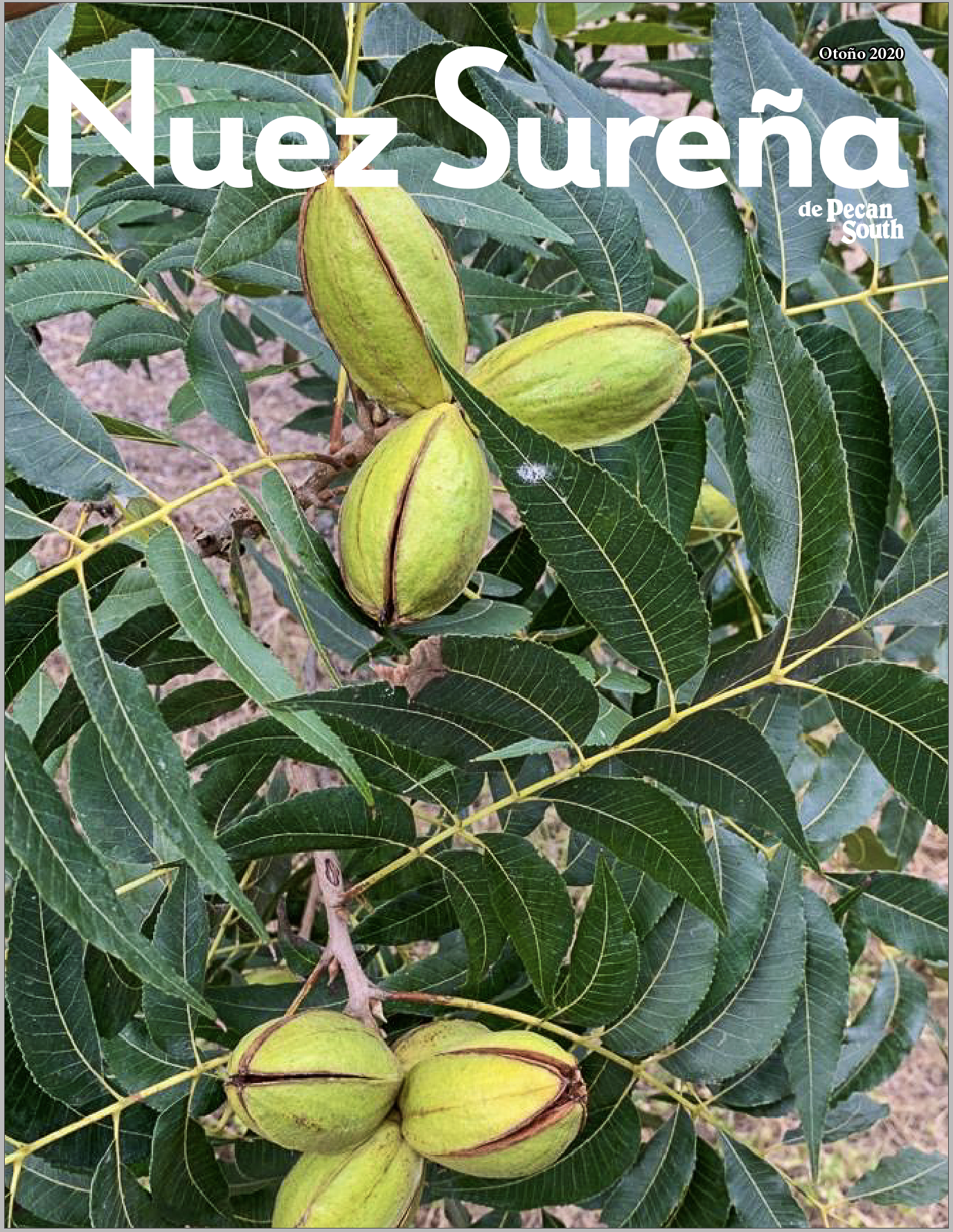 La portada de Nuez Sureña 2020.