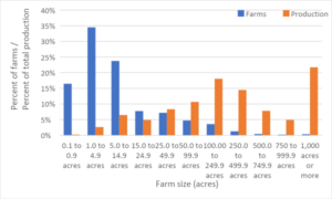 Graph showing how smaller farms make up the majority of pecan operations but do not account for the most production. 