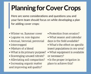 Examples of questions to ask when planning to implement cover crops to your pecan orchard.