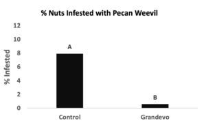 A graph shows the percentage of nuts infested with pecan weevil during a 2019 trial that compared four applications of Grandevo at 2 lbs per acre to a control application. An organic method of controlling pecan weevil, Grandevo applications resulted in 90 percent control of pecan weevil. The control group had over 8 percent of nuts infested. 