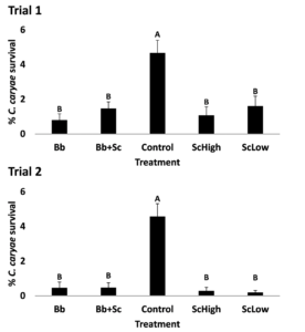 Figure 2 compares two trials with different organic methods of controlling pecan weevil. The two graphs show the percentage of weevil survival with each type of applicant.