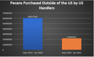 From September 2020 to January 2021, U.S. handlers reported they purchased a total of 21,84,0913 pecans from production areas outside of the U.S. This number is a 93 percent decrease from the same period in the 2019/2020 crop year.