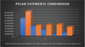 This chart compares pecan shipments for each month from September to January for the 2019/2020 and 2020/2021 crop years. Data comes from the APC's Pecan Position Reports. Even with the pandemic, total shipments in the 2020/2021 crop year outpaced those from the previous year. Data comes from the pecan federal marketing order's monthly position reports.