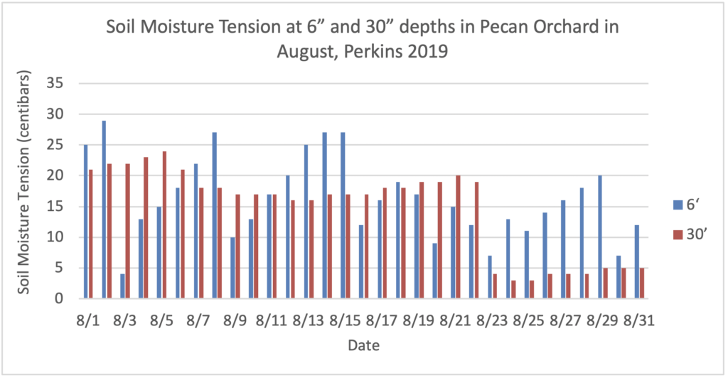 Chart showing the soil moisture tension at 6" and 30" depths in pecan orchard in August 2019.