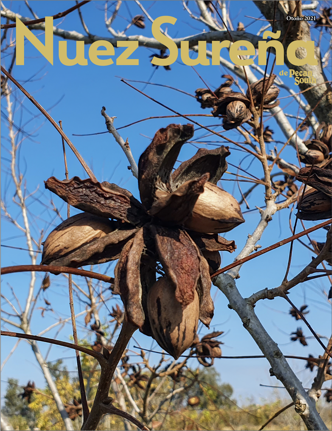 La portada de Nuez Sureña 2021
