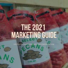 Cover image for the 2021 Marketing Guide—a list of pecan buyers. The graphic shows the words the 2021 Marketing Guide with a background of pecans in 5-pound sacks.