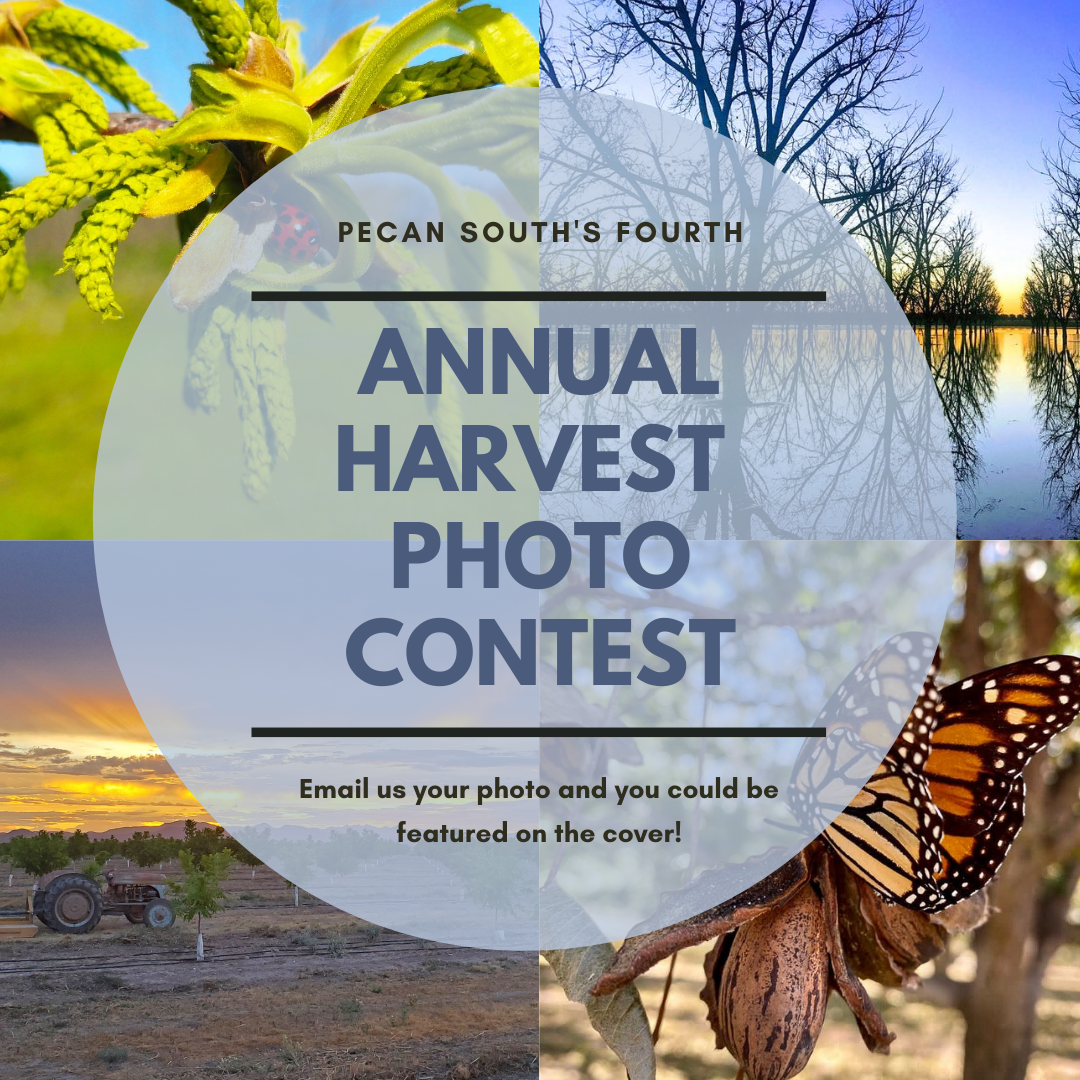 Card announcing Pecan South's 4th Annual Photo Contest