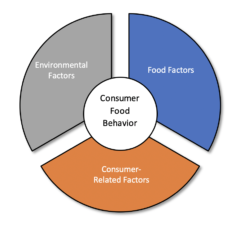 A circle chart showing the 3 facets of Consumer Food Behavior: environmental factors, food factors, and consumer-related factors.