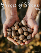 Pieces of Pecan's 2022 edition features unidentified hands holding a handful of inshell pecans toward the camera. At the top of the cover is the Pieces of Pecan logo.