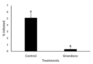 Bar graph compares control to Grandevo treatments and their effect on the percentage of pecan weevil infestation in 2020.