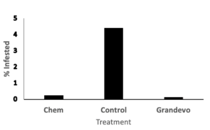Bar graph compares chemical, control, and Grandevo treatments' effects on pecan weevil infestation.