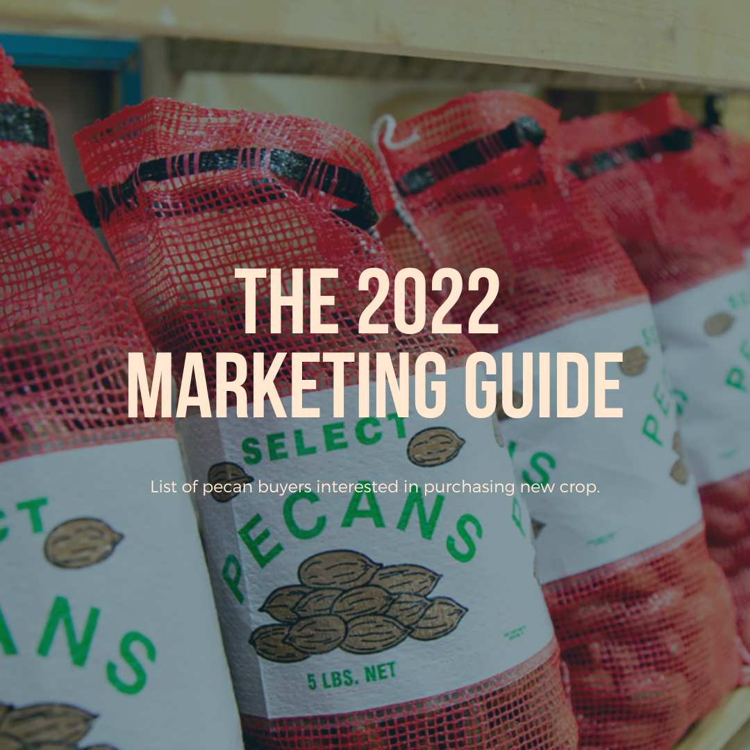 Cover image for the 2022 Marketing Guide—a list of pecan buyers. The graphic shows the words the 2021 Marketing Guide with a background of pecans in 5-pound sacks.