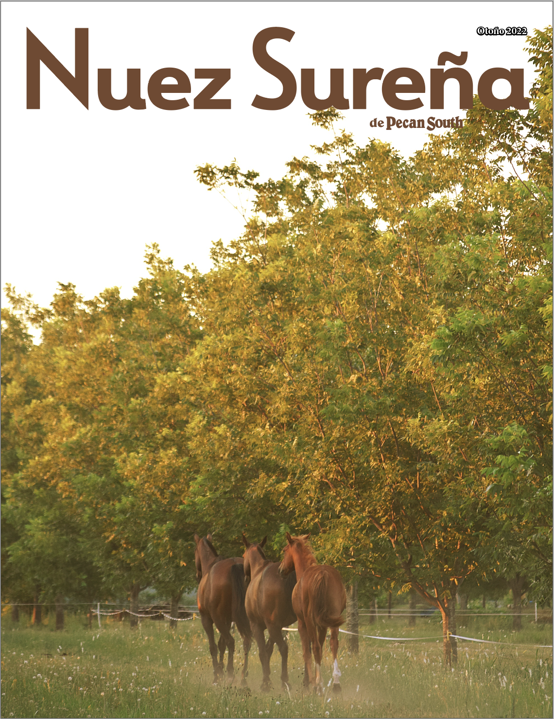 The cover of Nuez Sureña's 2022 issue features an image of three horses running by a pecan orchard in the fall.