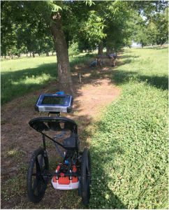 A ground-penetrating radar device is pushed next to a row of pecan trees to detect the roots, while two people in the far background crouch and take measurements near a tree.