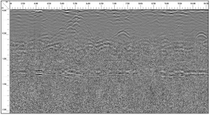 Screenshot of GPF profile of pecan roots measured in Perkins, Oklahoma. The profile appears as a fuzzy, black and white image with a series of parabolas near the top.