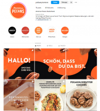 A screenshot of the Instagram profile for Pekan Pioniere—the APC's German pecan marketing page.