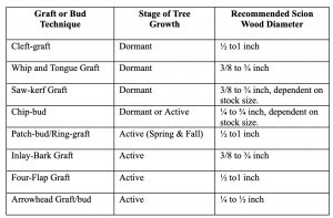Text within chart: Order for recommendations goest GRaft or Bud Technique, Stage of Tree Growth, and Recommended scion wood diameter. Cleft-graft - dormant stage - recommended wood diameter 1/2 to 1 inch Whip and tongue graft - dormant - recommend wood diameter 3/8 to 3/4 inch Saw-kerf graft - dormant stage - 3/8 to 3/4 inch, dependent on stock size Chip-bud - dormant or active - 1/4 to 3/4 inch, dependent on stock size. Patch-bud/ring-graft - active (Spring and Fall) - 1/2 to 1 inch Inlay Bark Graft - Active - 3/8 to 3/4 inch Four-flap graft - active - 1/2 to 1 inch Arrowhead graft/bud - active - 1/4 to 1/2 inch