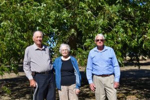 Three elderly people stand in front of a pecan tree.