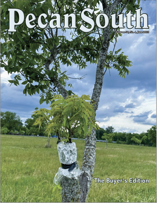 Sample Pecan South Issue Cover